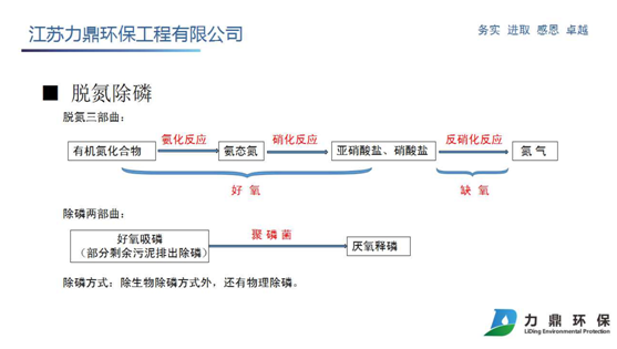 脱氮除磷介绍