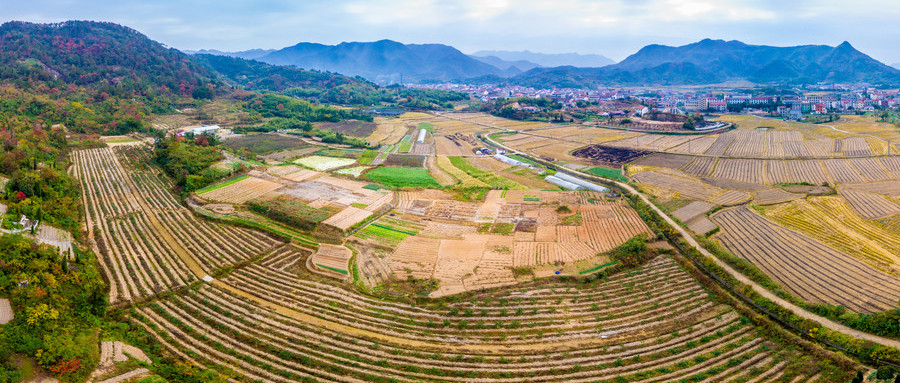 美丽新农村 