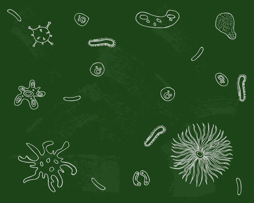 生活污水处理设备如何夯实生物除磷效果