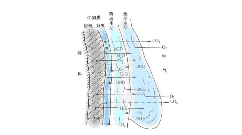 乡镇生活污水处理-生物膜处理法示意图